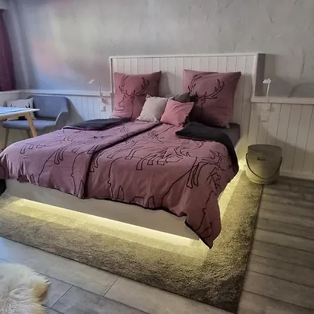 Zum Hirschen דירה הרצברג אם הארץ