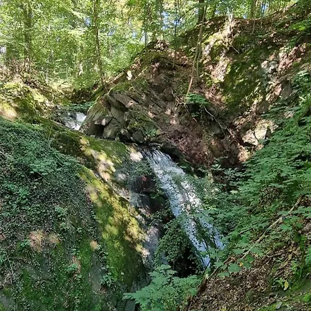 Zum Hirschen