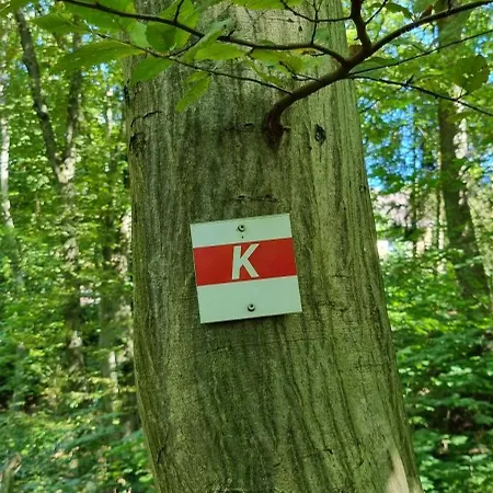 Zum Hirschen * Herzberg am Harz