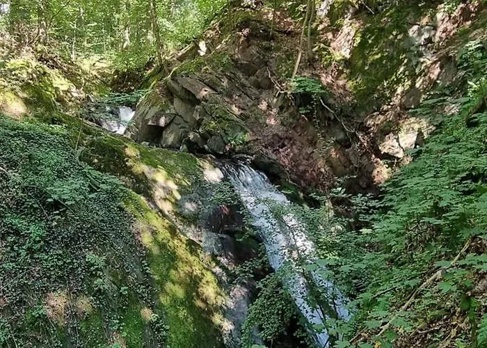 Zum Hirschen